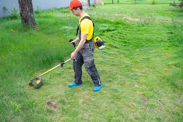 Lawn Mowing