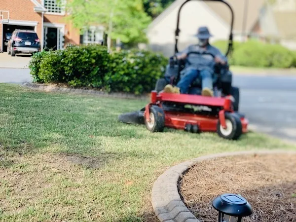 Green Waste Removal